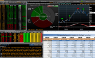 Capital Investment Services